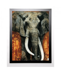 ARIETTI FABIENNE Image encadrée Eléphant 67x87 cm Gris