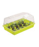 NATURE Terrine pour semis  coloris citron 6 X 37,5 X 24cm