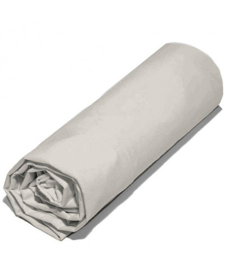 COTE DECO Lot de 2 draps housse 100% percale de coton  2x80x200x25 cm  Beige sable