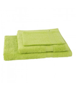 JULES CLARYSSE Lot de 1 serviette  1 drap de bain  1 gant de toilette Élégance  Vert