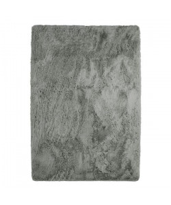 NEO YOGA Tapis de salon ou chambre en microfibre extra doux  160x230 cm  Gris clair