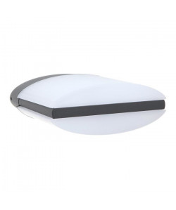 OSRAM Applique extérieure LED Endura Style Ellipse  13W équivalent a 80W  Gris anthracite