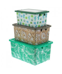 Lot de 3 boîtes plastique de rangement Tropical  13 / 23 / 35 L