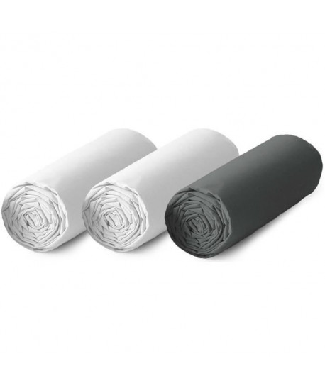 TODAY Lot de 3 draps housse 100% coton  90x190 cm  Blanc et gris anthracite