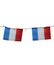 LEALIGHT Guirlande LED drapeaux tricolores  24 V  6 m