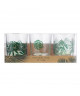 Lot de 3 photophores Jungle  Avec chauffeplat  Transparent  Vert