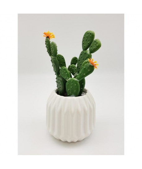 Cactus fleuri dans son contenant Scandinave  H 16 cm  Blanc