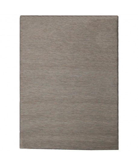 SUNDANCE Tapis intérieur et extérieur en polypropylene  120x160 cm  Bleu et beige  Recto et verso