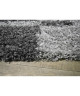 NORA Tapis de salon shaggy  120 x 160 cm  Gris anthracite a rayures