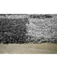 NORA Tapis de couloir shaggy  60 x 110 cm  Gris anthracite a rayures