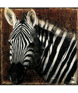 Affiche papier   Portrait de zebre   Arietti    30x30 cm