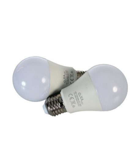 Lot de 2 ampoules LED E27 10 W équivalent a 100 W blanc chaud