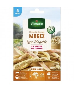 VILMORIN Graines de haricot mogex  5 M