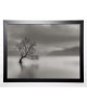 BRAUN STUDIO Image encadrée L\'arbre du lac 57x77 cm Gris