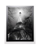 CARRARA ANTOINE Image encadrée Sa Majesté La Tour Eiffel 67x87 cm Gris