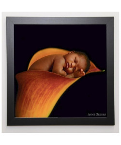 GEDDES ANNE Image encadrée Bébé arum 57x57 cm Rouge