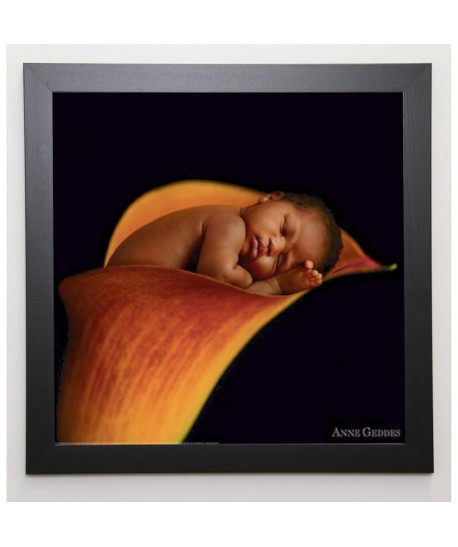 GEDDES ANNE Image encadrée Bébé arum 57x57 cm Rouge