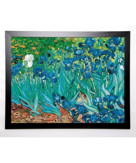 GOGH VAN VINCENT Image encadrée Iris 67x87 cm Vert