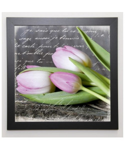 HAASE Image encadrée Poetry Tulips 57x57 cm Rose