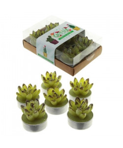 Lot de 6 Bougies  Cactus a Feuilles Ouvertes