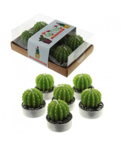 Lot de 6 Bougies  Cactus Unique