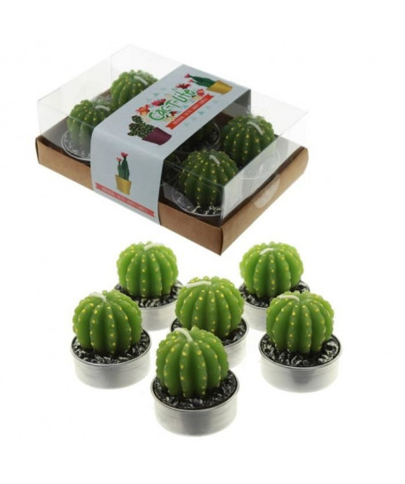 Lot de 6 Bougies  Cactus Unique