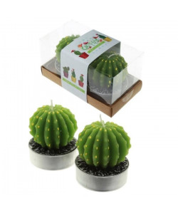 Lot de 2 Bougies  Cactus Unique