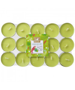 LE CHAT Lot de 30 bougies chauffeplats Exploration en foret  Ř 3,8 cm  Parfum : foret tropicale  Couleur : vert