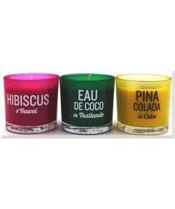 DEVINEAU Lot de 3 bougies parfumées  Hibiscus, Eau de coco et Pina colada