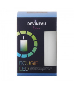 DEVINEAU Bougie Led avec flamme  Bleu et Vert