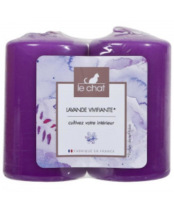 LE CHAT Lot de 2 bougies violets  Ř 4,8 x H 8 cm  parfum lavande