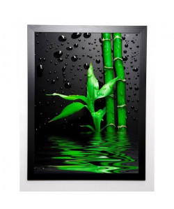 PHOTOGRAPHY COLLECTION Image encadrée Zen II 57x77 cm Vert