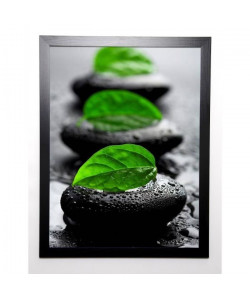 PHOTOGRAPHY COLLECTION Image encadrée Zen I 57x77 cm Vert