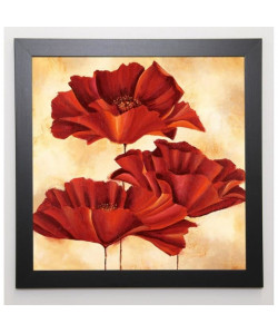 RABBETT Image encadrée Three Poppies I 57x57 cm Rouge