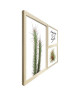 Lot de 2 cadres Enjoy life  40x50 / 24x24 cm  MDF  Blanc, vert, rouge et blanc  Moulure 1,5 cm