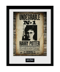 Poster encadré collector Harry Potter