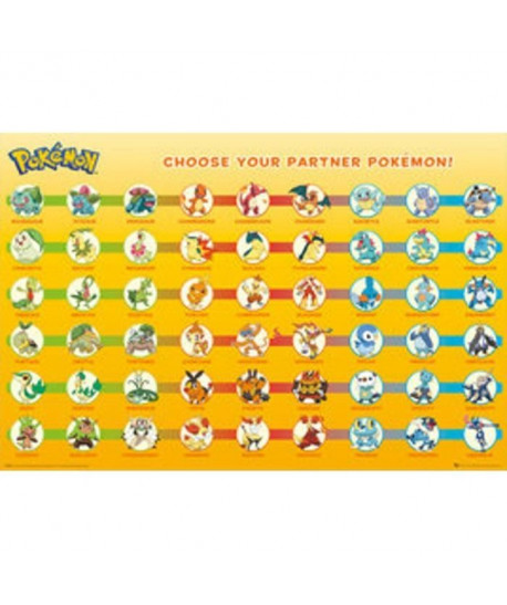 POKEMON Poster Partner Maxi  Garçon  A partir de 3 ans  Livré a l\'unité