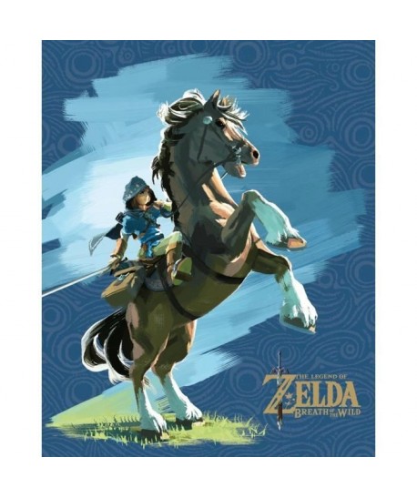 Cadre 3D Zelda breath of wild  Lenticulaire epona and link