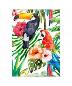 Image encadrée baguette minimaliste Perroquet tucan tropicale  MDF  51x71 cm  Multicolore  Moulure blanc mat 19x19 cm