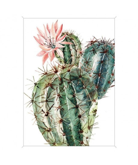 Image encadrée baguette minimaliste Cactus fleur rose  MDF  51x71 cm  Rose, vert et blanc  Moulure blanc mat 19x19 cm