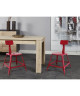 LOFT Lot de 2 chaises de salle a manger métal rouge  Industriel  L 41 x P 41 cm