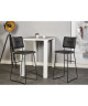 TOVA Lot de 2 tabourets de bar en métal  Simili noir  Contemporain  L 43 x P 41 cm