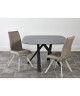 COCOON Lot de 2 chaises de salle a manger  Simili taupe  Style contemporain  L 44 x P 43 cm