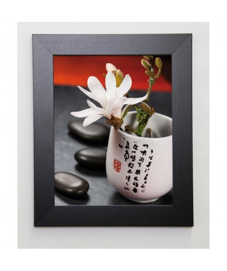 BEYLER CATHERINE Image encadrée Composition Zen : Magnolia Stellata 2 31x37 cm Multicolore