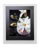 BEYLER CATHERINE Image encadrée Composition Zen : Magnolia Stellata 1 31x37 cm Multicolore