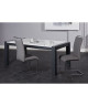 DYLAN Lot de 2 chaises de salle a manger  Simili gris  Contemporain  L 42,5 x 56 cm