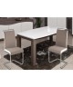 DYLAN Lot de 2 chaises de salle a manger  Simili taupe et blanc  Contemporain  L 42,5 x P 56 cm