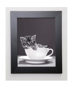 BRAUN STUDIO Image encadrée Chat Tasse Gris