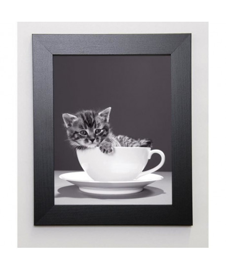 BRAUN STUDIO Image encadrée Chat Tasse Gris