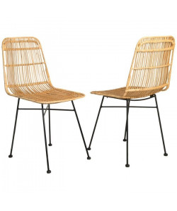 ELIA Lot de 2 chaises en rotin naturel  Pieds en métal  Ethnique  L 44 x P 40 cm